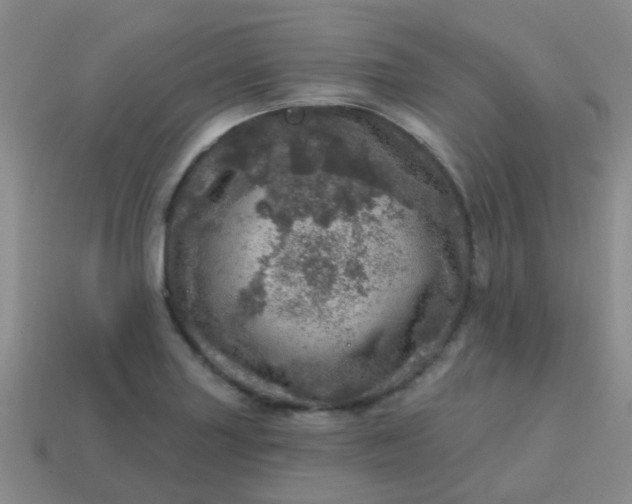 X0000113861227200910081659