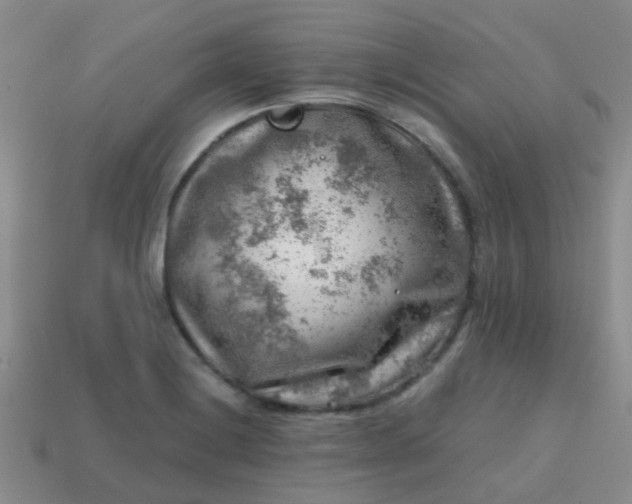 X0000113861228200910081659