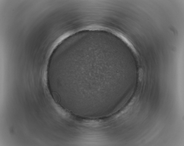X0000113861229200910081659