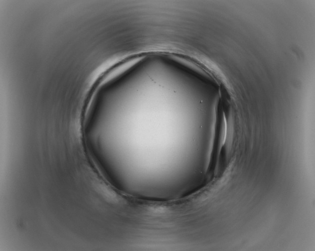 X0000113861230200910081659