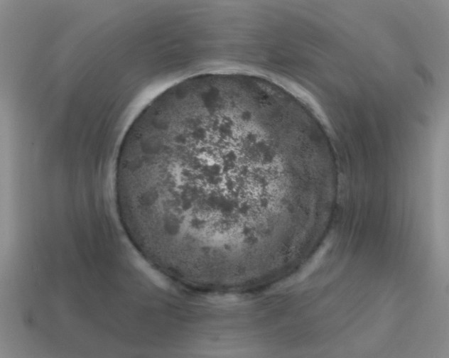 X0000113861231200910081659