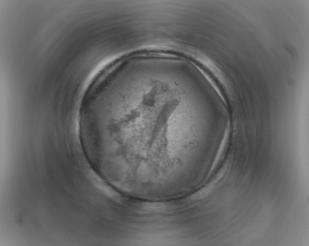 X0000113861232200910081659