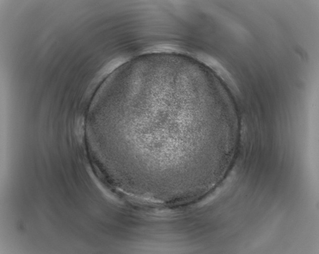 X0000113861233200910081659