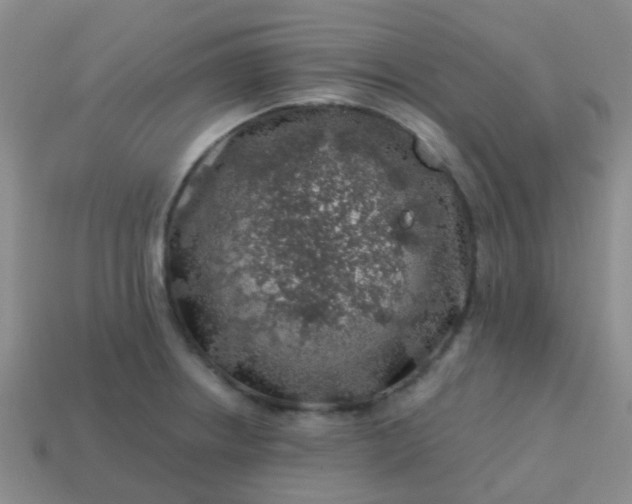 X0000113861234200910081659