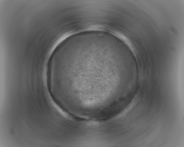 X0000113861235200910081659