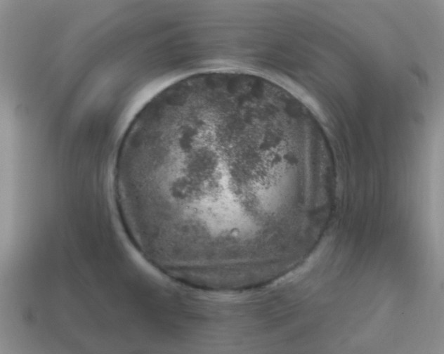 X0000113861239200910081659