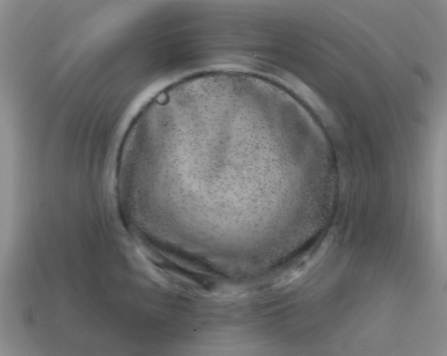 X0000113861240200910081659