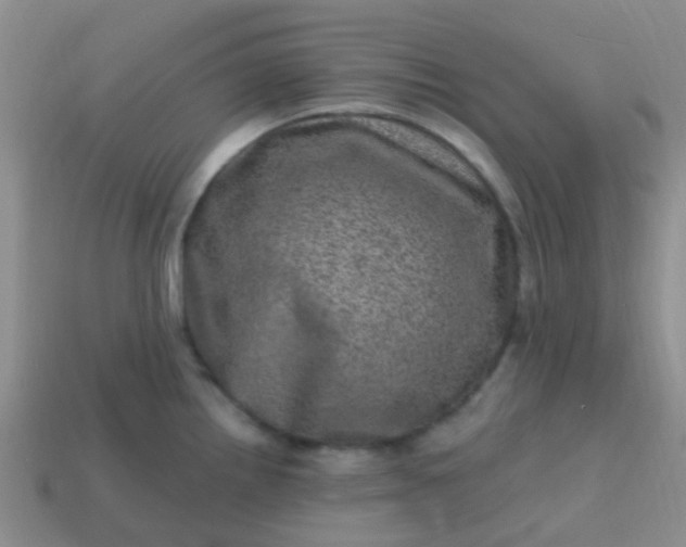 X0000113861242200910081659