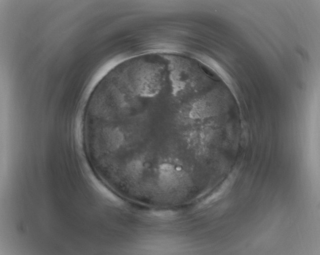 X0000113861243200910081659