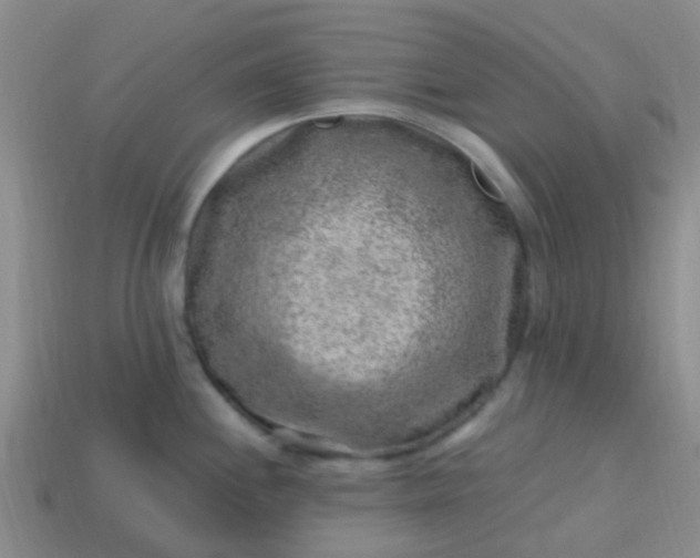 X0000113861244200910081659