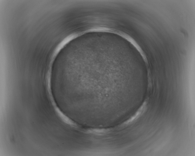 X0000113861245200910081659