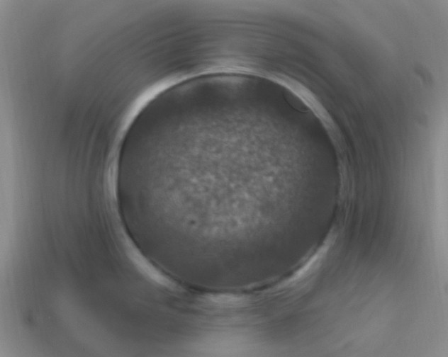 X0000113861246200910081659