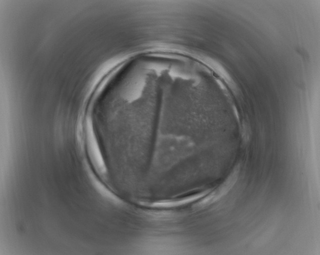 X0000113861247200910081659