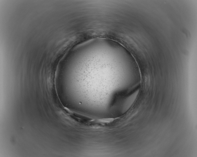 X0000113861250200910081659