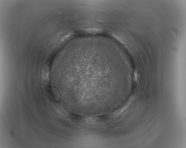 X0000113861251200910081659
