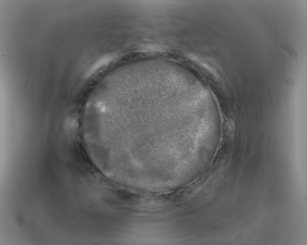 X0000113861254200910081659