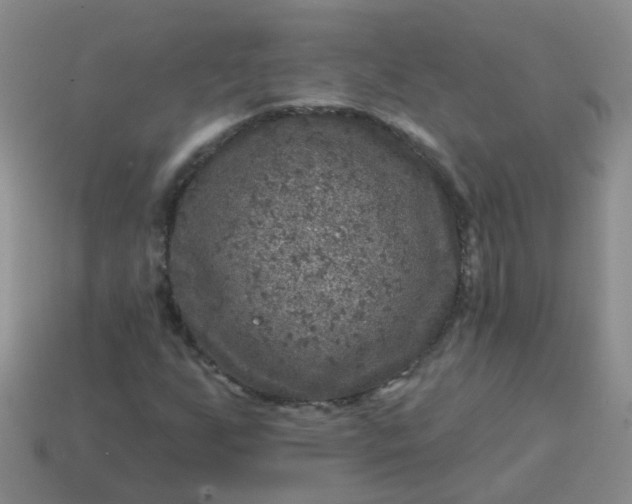X0000113861255200910081659