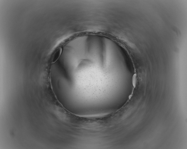 X0000113861256200910081659