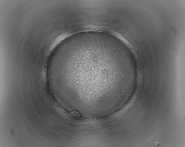 X0000113861259200910081659