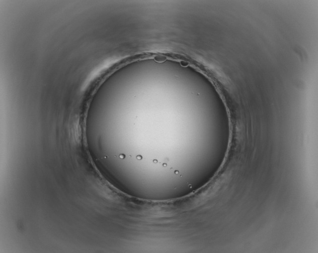 X0000113861262200910081659