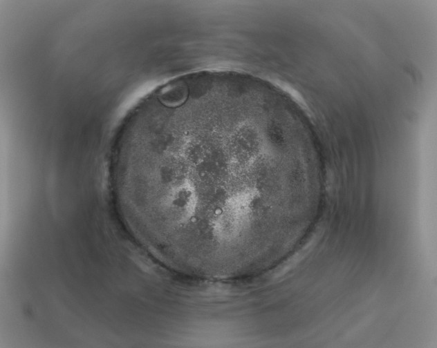 X0000113861263200910081659