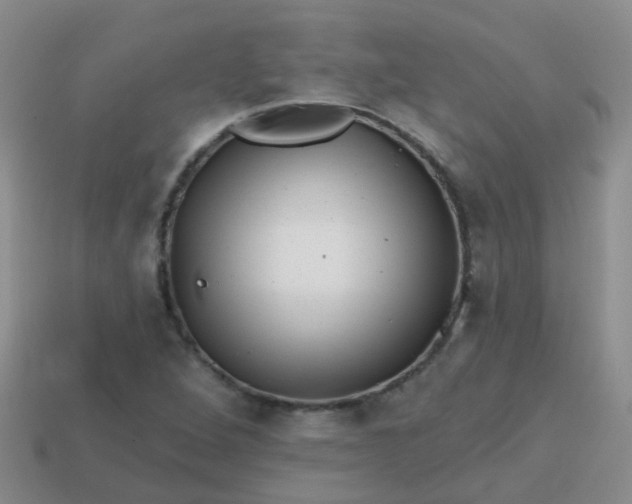 X0000113861264200910081659