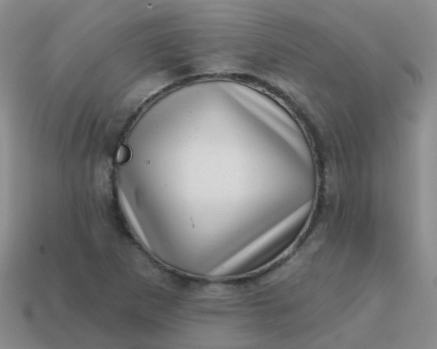 X0000113861265200910081659