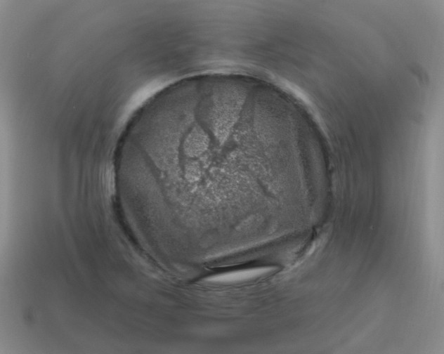 X0000113861267200910081659