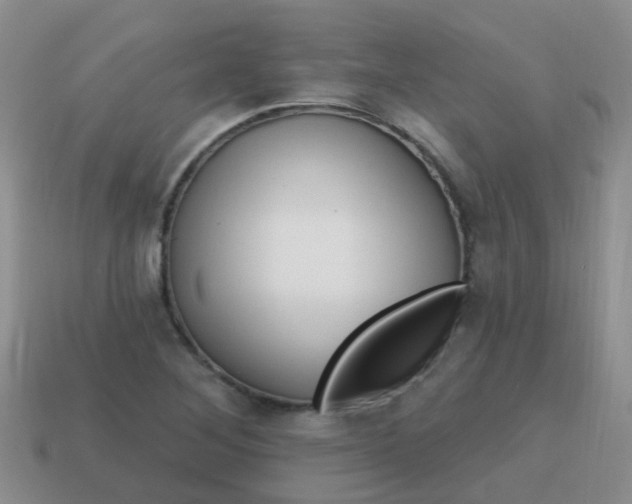 X0000113861268200910081659