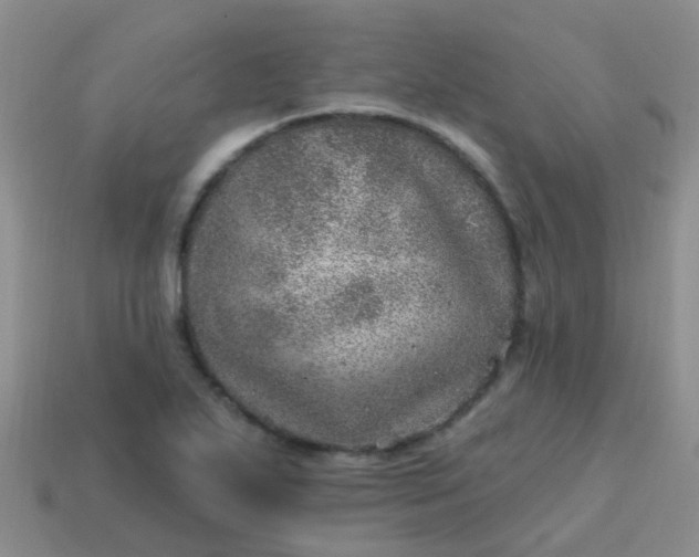 X0000113861271200910081658