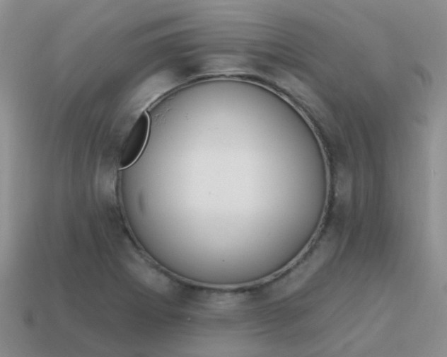 X0000113861273200910081658