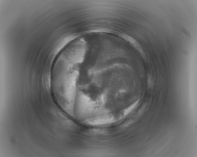 X0000113861274200910081658