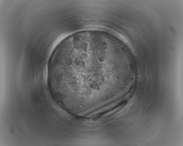 X0000113861275200910081658