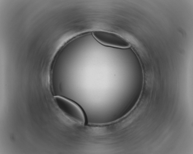 X0000113861280200910081658