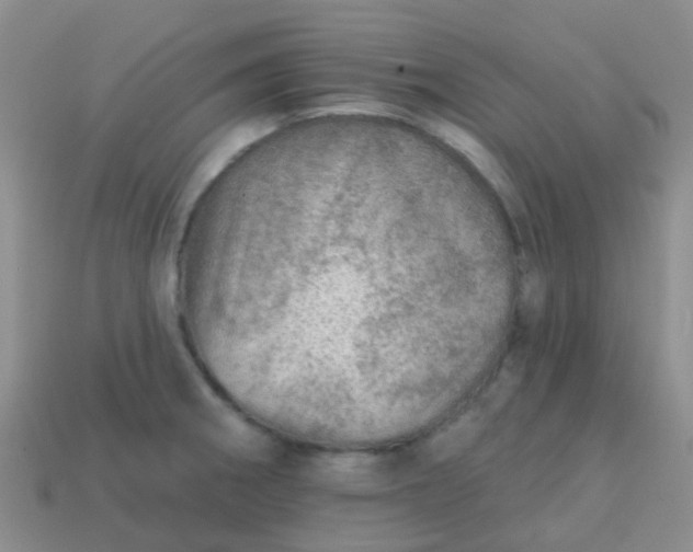 X0000113861282200910081658