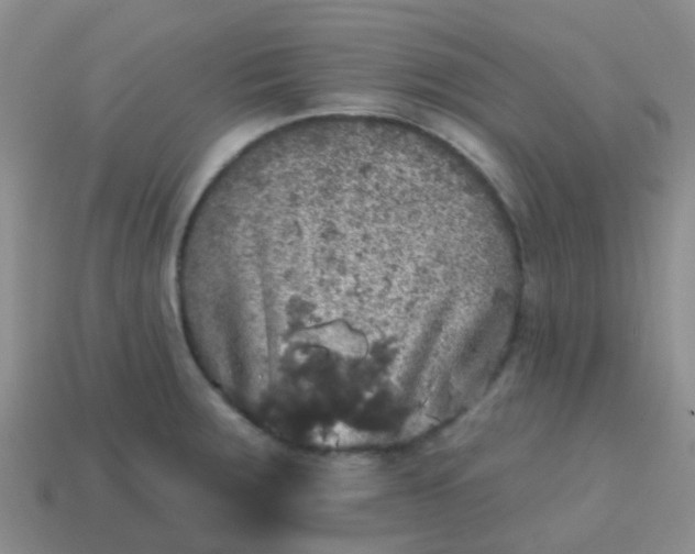 X0000113861283200910081658