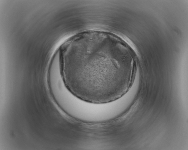 X0000113861285200910081658