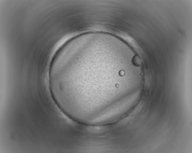 X0000113861286200910081658