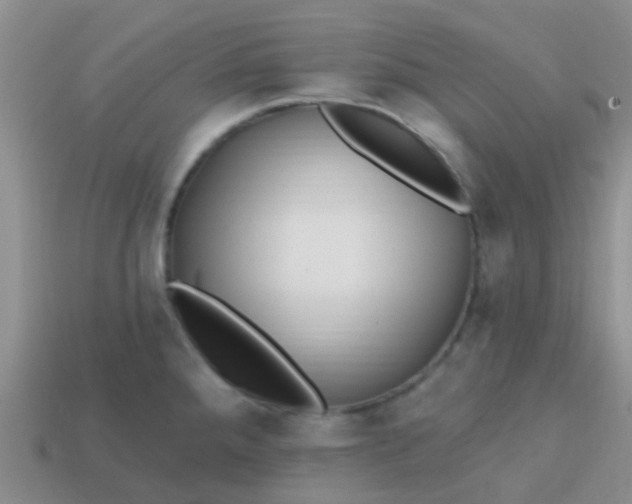 X0000113861288200910081658