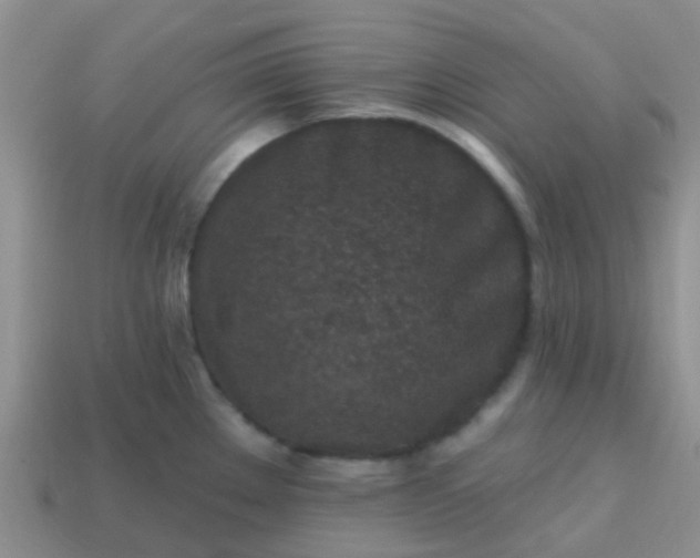 X0000113861289200910081658