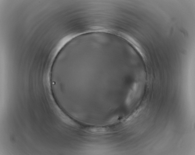 X0000113861291200910081658