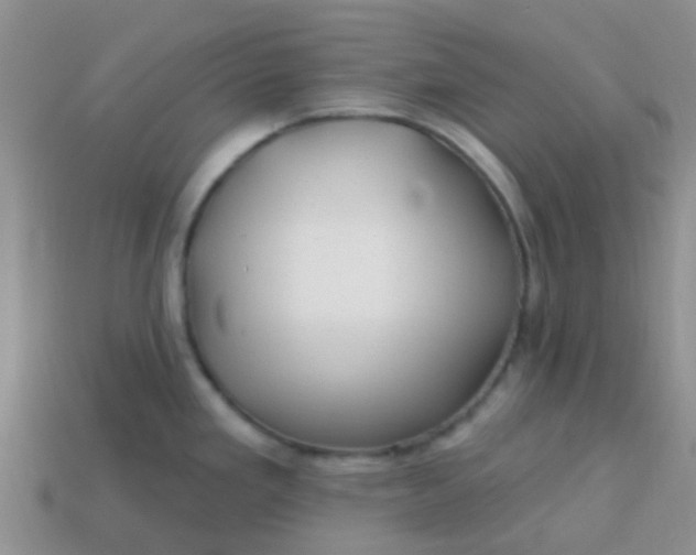 X0000113861293200910081658