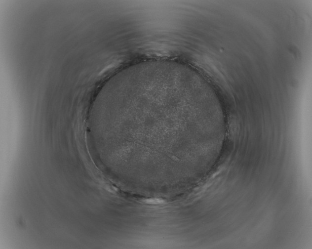 X0000113861297200910081658