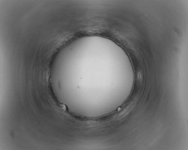 X0000113861300200910081658