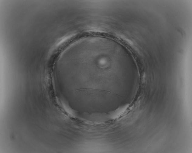 X0000113861303200910081658