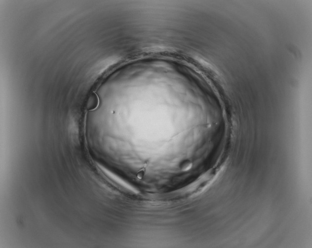 X0000113861305200910081658