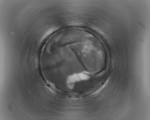 X0000113861306200910081658