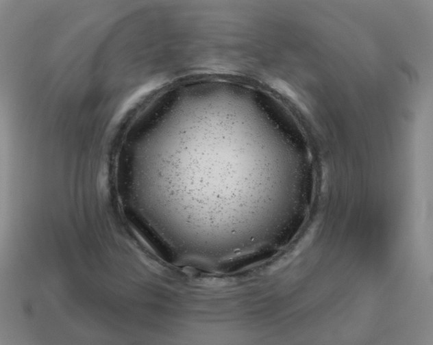 X0000113861307200910081658