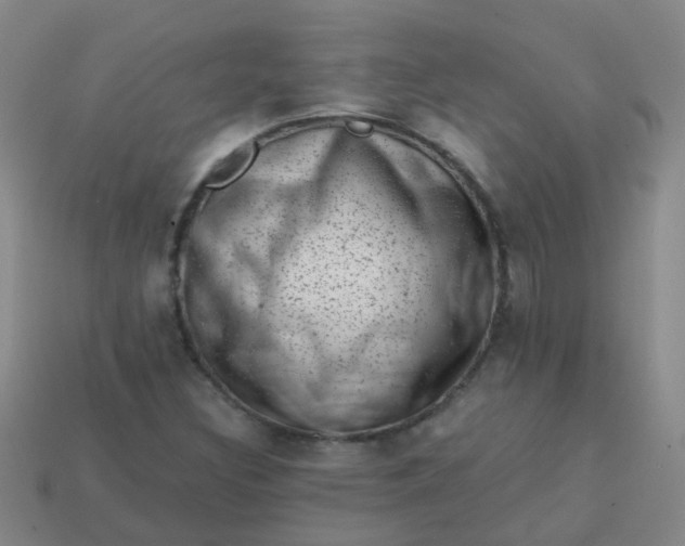 X0000113861308200910081658