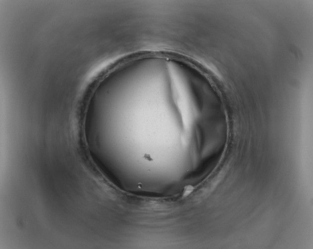 X0000113861311200910081658